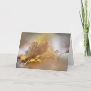 Carte Petite photo de la nature des champignons