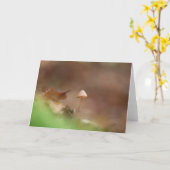 Carte Petite photo de la nature des champignons (Fleur jaune)
