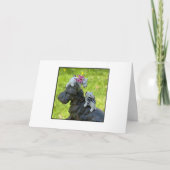 Carte Petites Westies blanches (Devant)