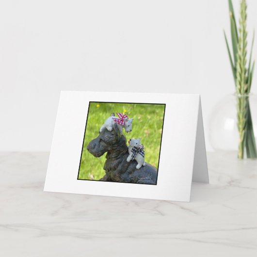 Carte Petites Westies blanches (Devant)