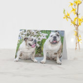 Carte Petits Bulldogs Joyeux anniversaire Personnalisé (Fleur jaune)