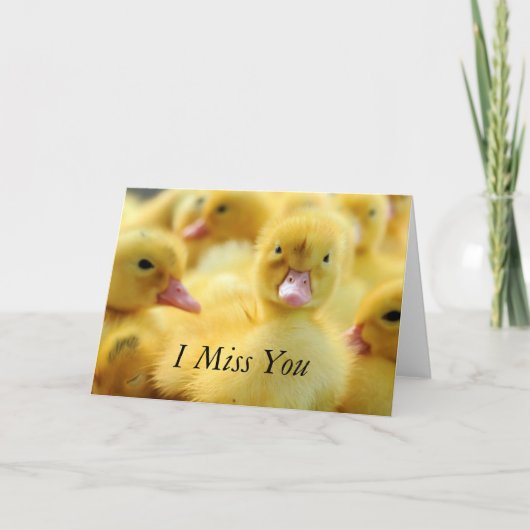 Carte Petits canards (Devant)