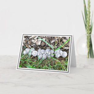 Carte Petits champignons gris dans le jardin après la nu