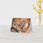 Carte Petits cochons Oxford Sandy & Black mignons (Fleur jaune)