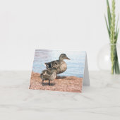 Carte Petits colliers à l'étang (Devant)