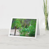 Carte Petits palmiers dans le parc (Devant)