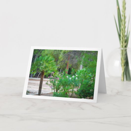 Carte Petits palmiers dans le parc (Devant)