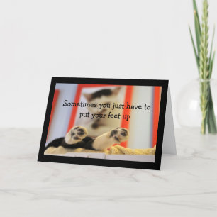 Carte Petits Pieds De Chat Obtenez De Bons Voeux