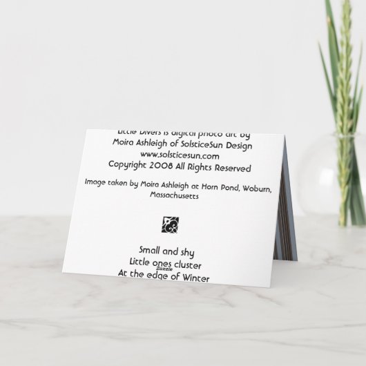 Carte Petits plongeurs (Dos)