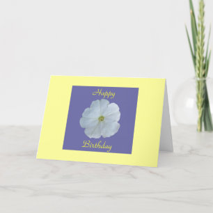 Carte Petunia blanc