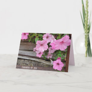 Carte Pétunia rose Pensée pour vous