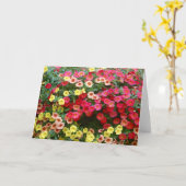 Carte Petunias (Fleur jaune)