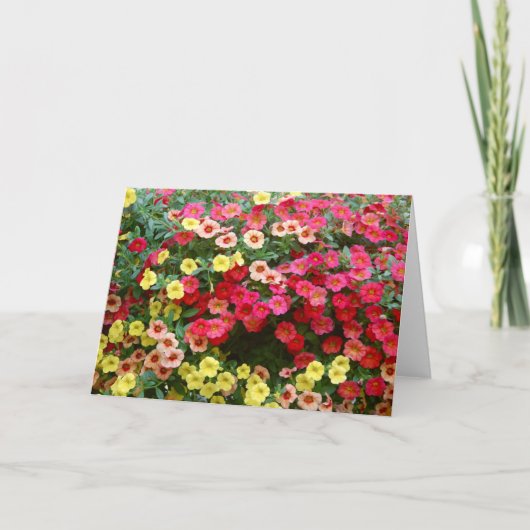 Carte Petunias (Devant)