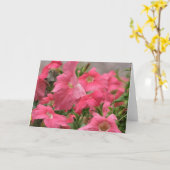 Carte Pétunias roses (Fleur jaune)