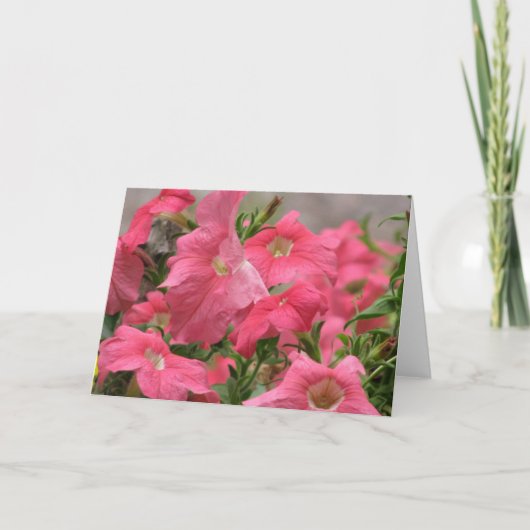 Carte Pétunias roses (Devant)