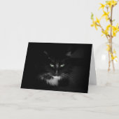 Carte Peur chat noir (Fleur jaune)