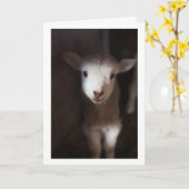 CARTE PEUT-ÊTRE UN BÉBÉ MAIS JE PEUX DIRE **JEUNE NOËL** (Fleur jaune)