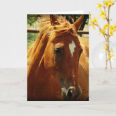 Carte Pferde, Alles Gute Zum Geburtstag (Fleur jaune)