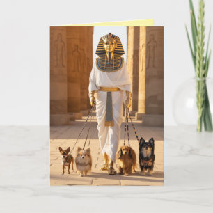 Carte Pharaon promenant le chien