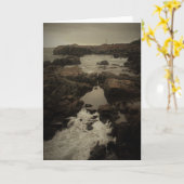 Carte Phare de Louisbourg (Fleur jaune)