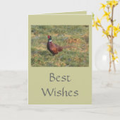 Carte Pheasant (Fleur jaune)