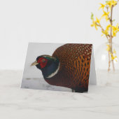 Carte Pheasant (Fleur jaune)