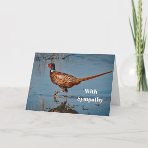 Carte Pheasant Blue Water Photo Sympathie