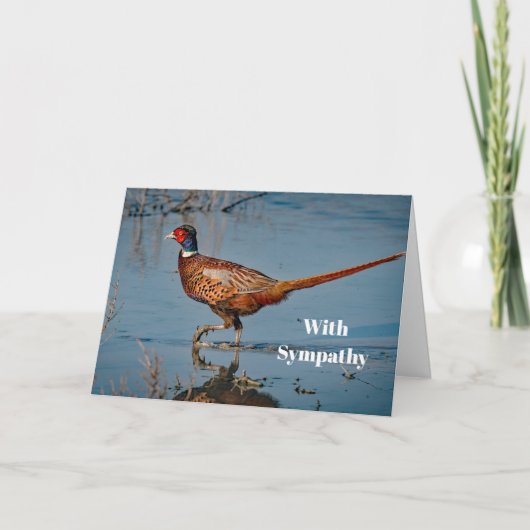 Carte Pheasant Blue Water Photo Sympathie (Devant)