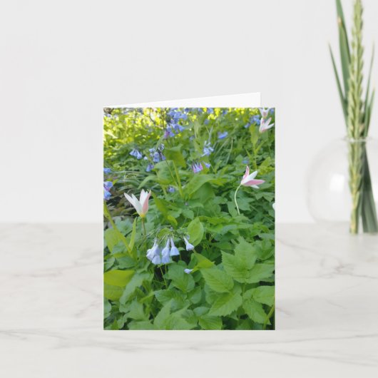 Carte Philippians 4:4 Blank Card (Devant)