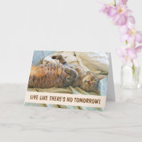 Philosophie Lazy Cat Anniversaire
