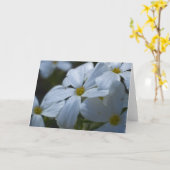 Carte Phlox blanc (Fleur jaune)