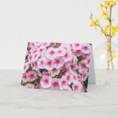 Carte Phlox. Friary Gardens, Cardiff, Pays de Galles. (Fleur jaune)