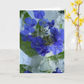 Carte Phlox glacé, (Fleur jaune)