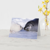 Carte Phoque de Groenland mère avec son petit (Fleur jaune)