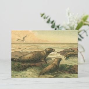 Carte Phoques léopards, Animaux aquatiques vintage Vie m