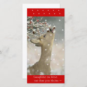 Carte photo (Devant / Derrière)