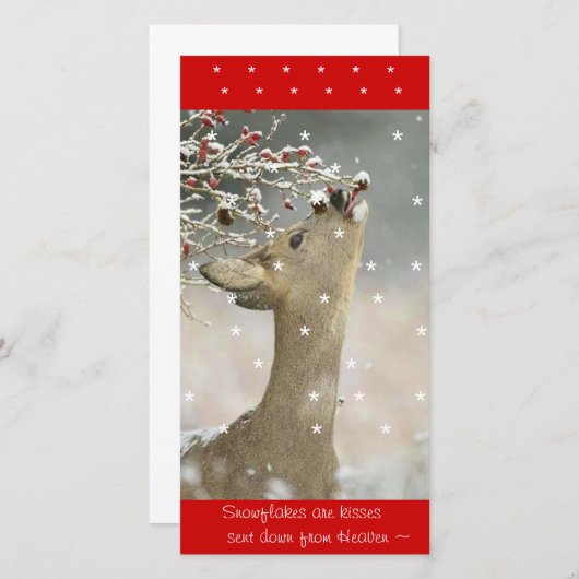 Carte photo (Devant / Derrière)