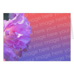 Carte photo à fleurs rose Azalea