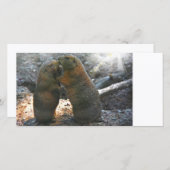 Carte photo avec couple de marmottes mignonnes (Devant / Derrière)