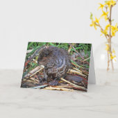 Carte Photo Baby Beaver (Fleur jaune)
