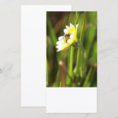 Carte photo blanc, Bumble Bee (Devant / Derrière)