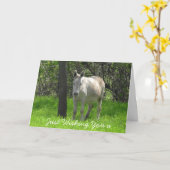 Carte Photo blanche d'âne de joyeux anniversaire (Fleur jaune)