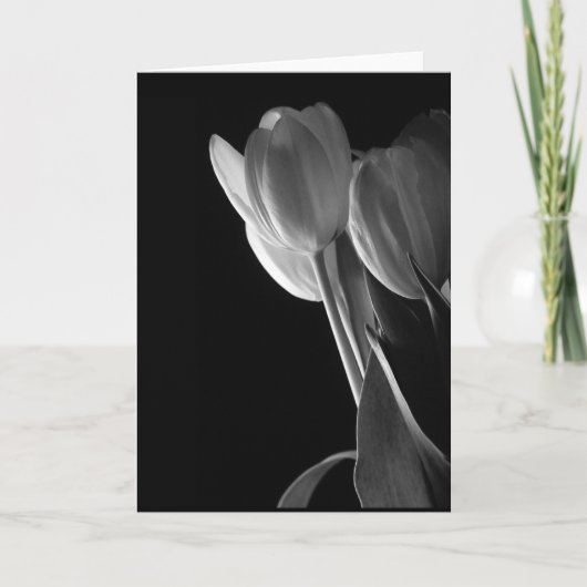 Carte Photo blanche de tulipes sur l'arrière - plan noir (Devant)