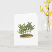 Carte Photo Bonsai 3 (Fleur jaune)