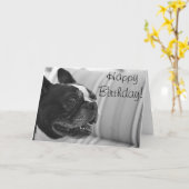Carte Photo Boston Terrier (Fleur jaune)
