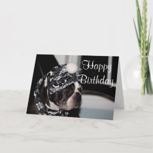 Carte Photo Boston Terrier