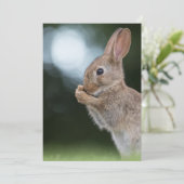 Carte photo Bunny de Pâques (Debout devant)