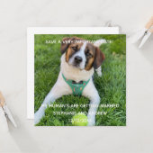 Carte Photo Chien Enregistrer La Date Fiançailles (Devant/Arrière en situation)