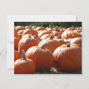 Carte Photo citrouille pour automne, Halloween ou Thanks