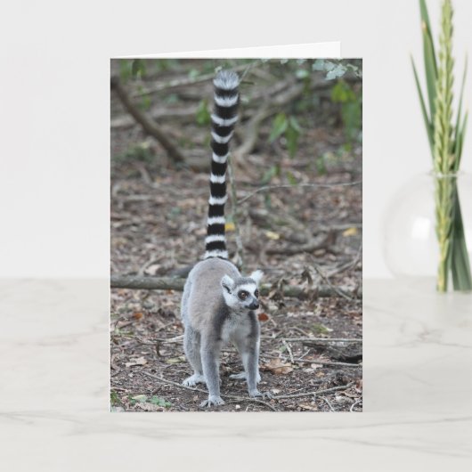 Carte Photo Cute Ring-Tailed Lemur (Devant)